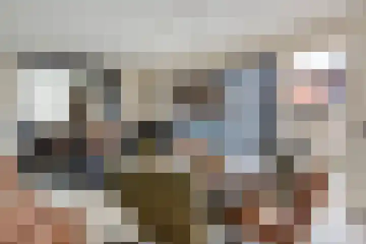 Rietsnijder 34 Spijkenisse thumbnail 8