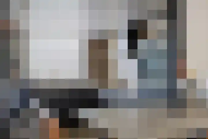 Rietsnijder 34 Spijkenisse thumbnail 9