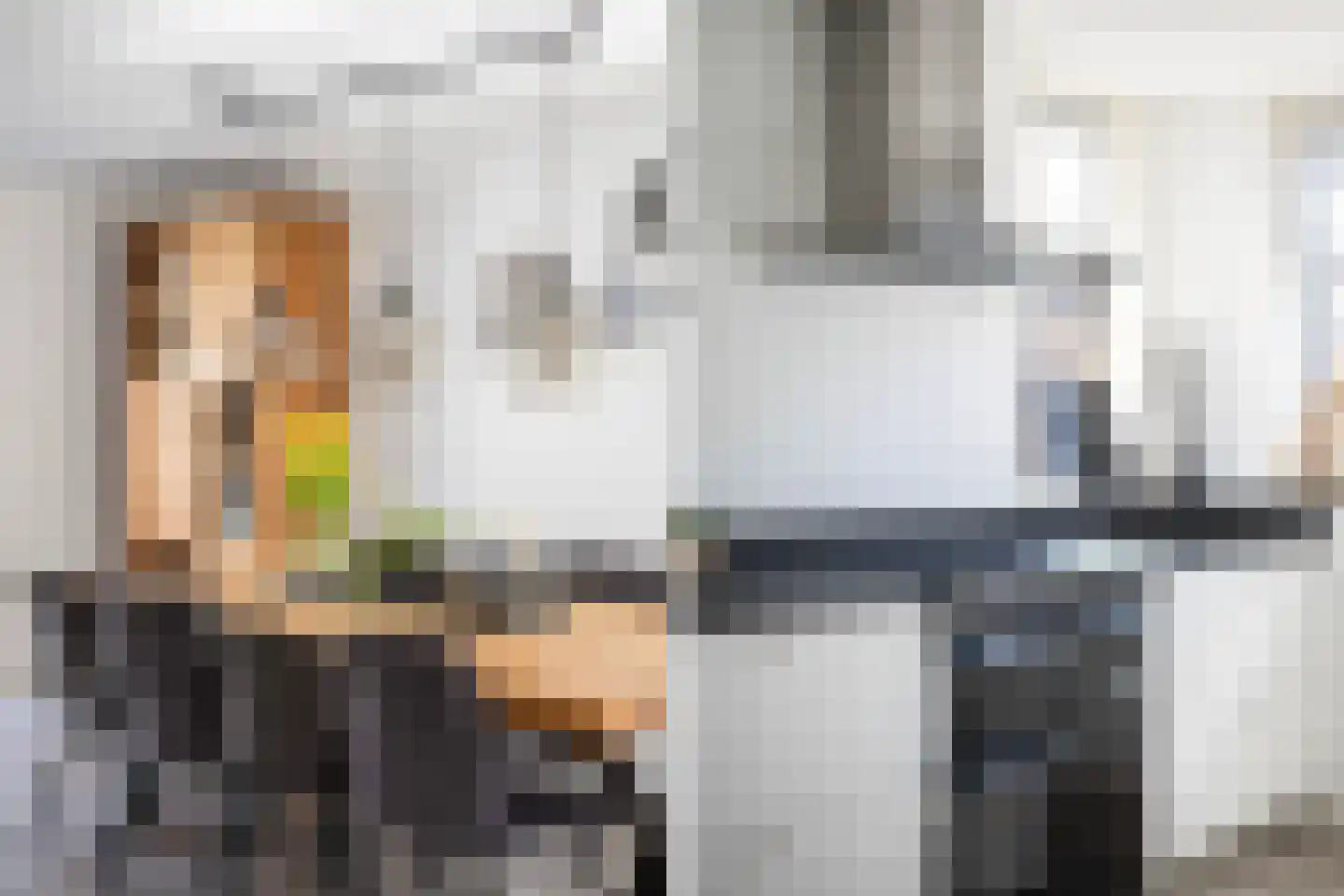 Rietsnit 10 Hasselt thumbnail 10