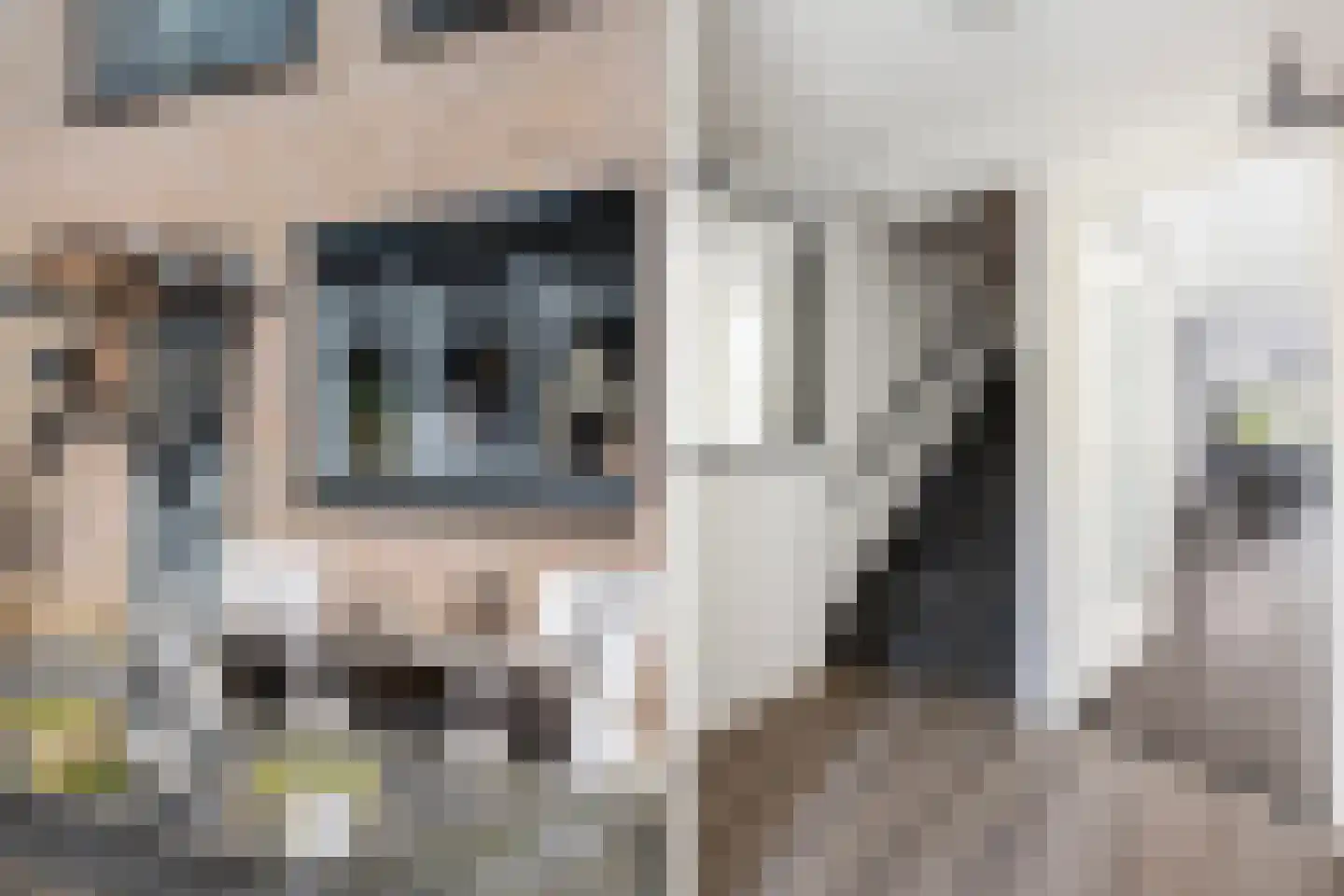 Rietsnit 10 Hasselt thumbnail 11