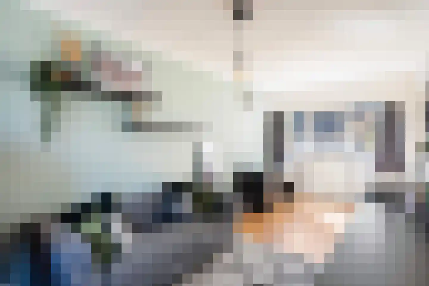Rietsnit 10 Hasselt thumbnail 16