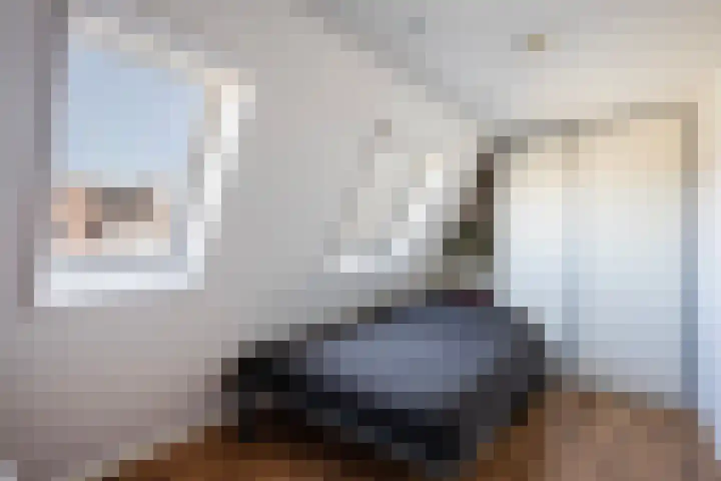 Rietsnit 10 Hasselt thumbnail 20