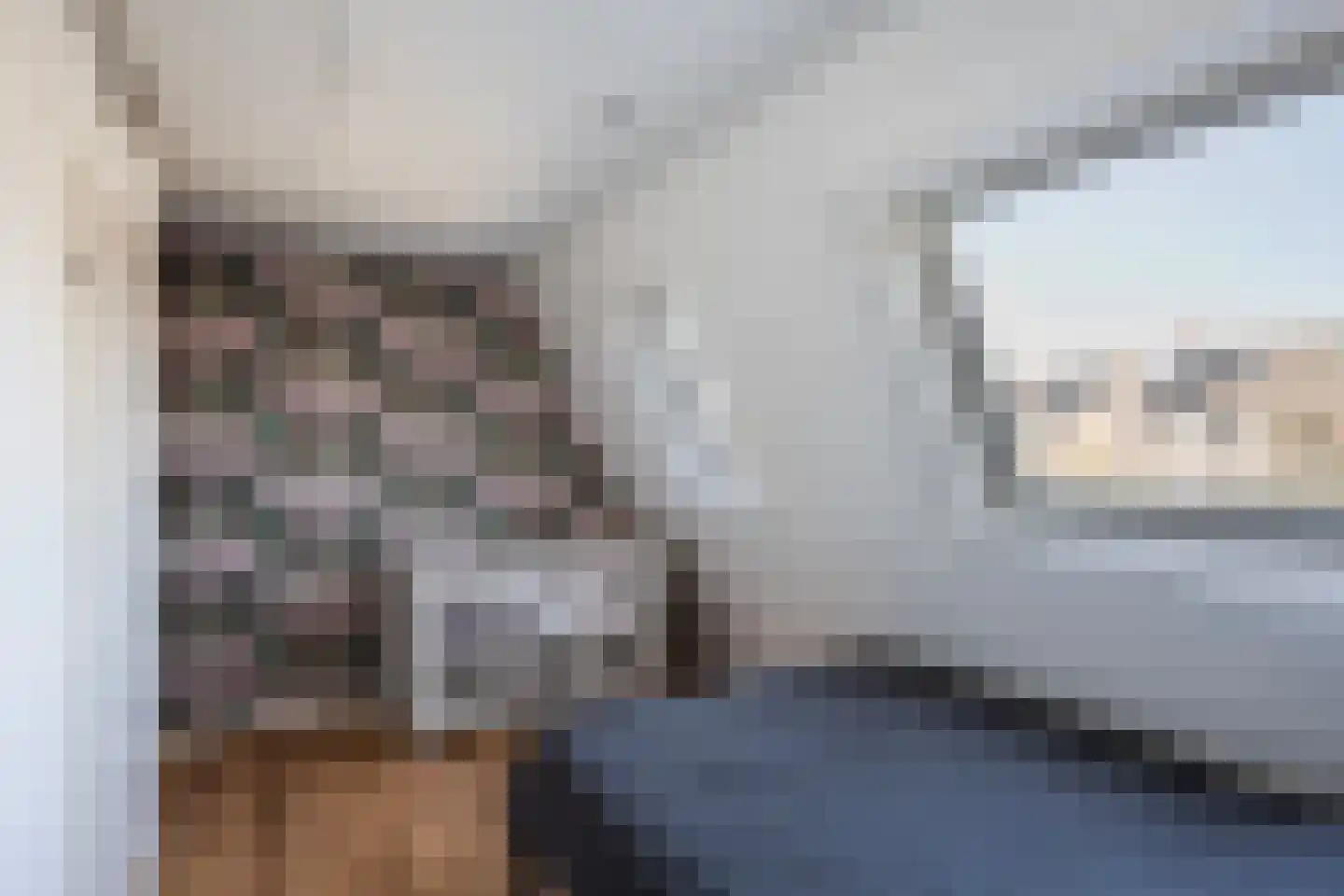 Rietsnit 10 Hasselt thumbnail 21