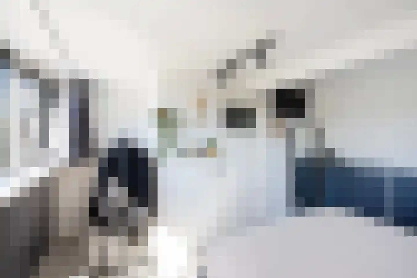 Rietsnit 10 Hasselt thumbnail 24