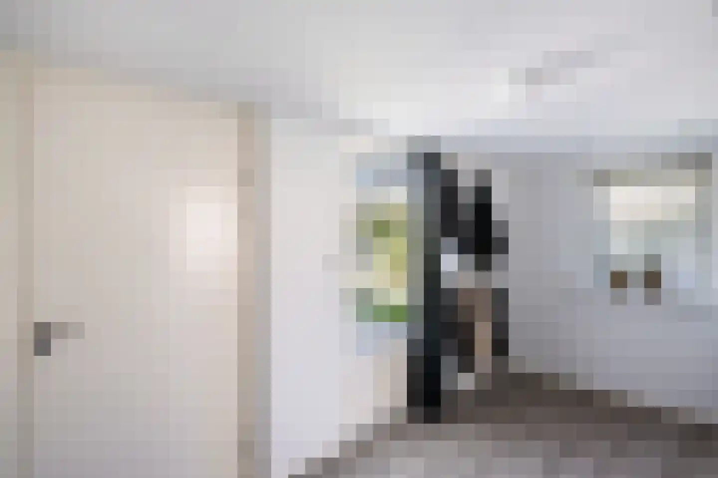 Rietsnit 10 Hasselt thumbnail 25
