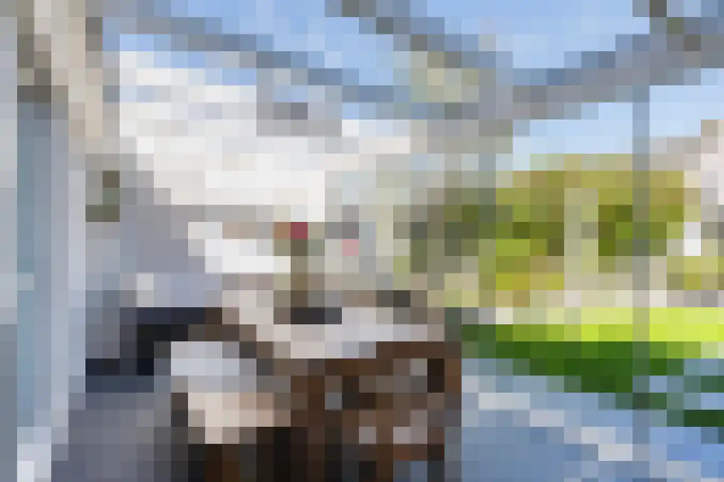 Rietsnit 10 Hasselt thumbnail 26