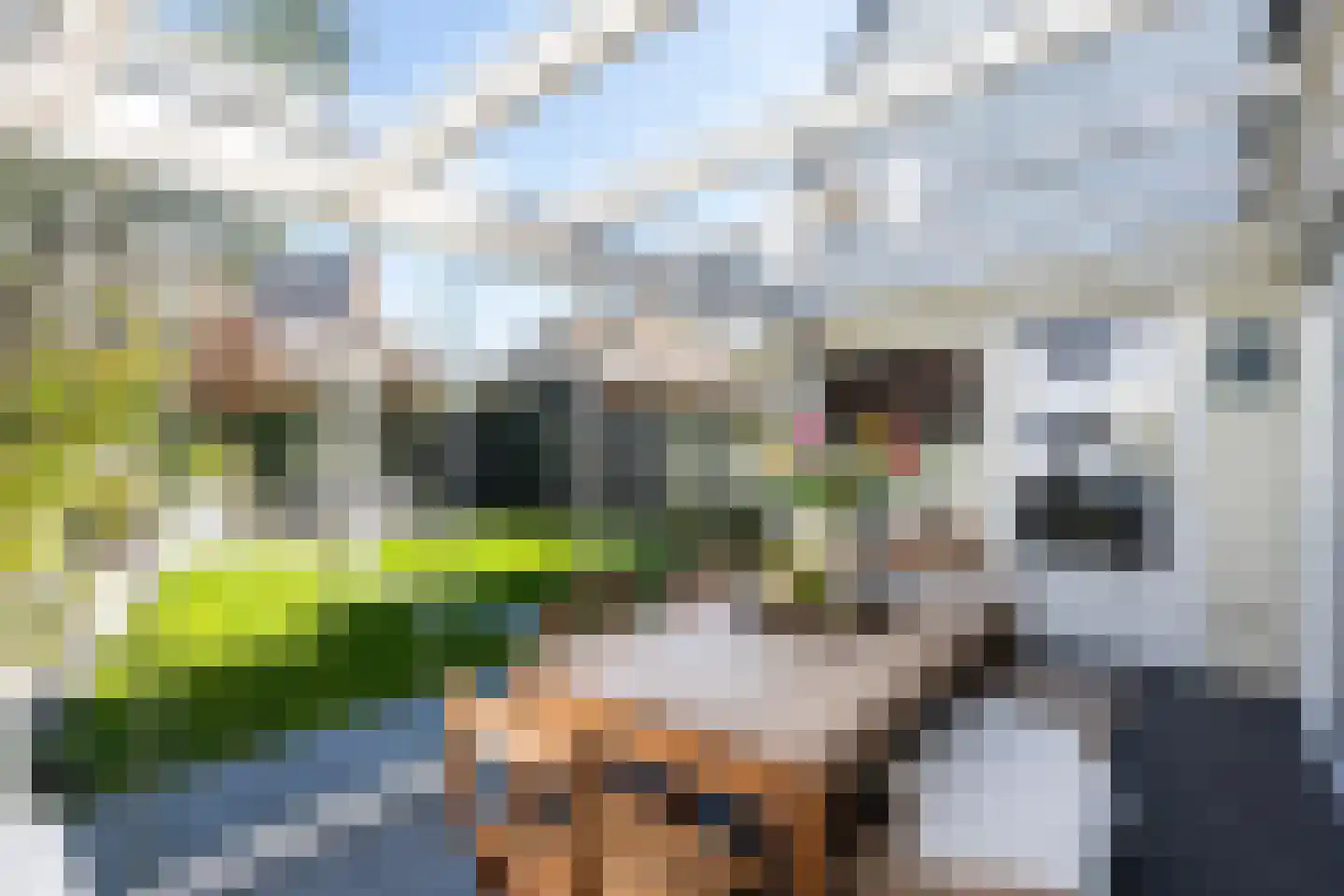 Rietsnit 10 Hasselt thumbnail 27