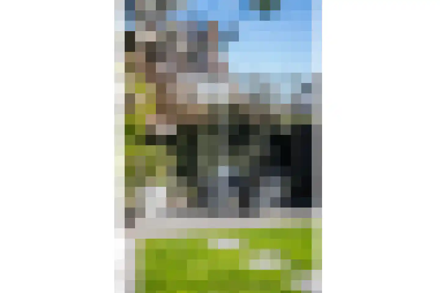 Rietsnit 10 Hasselt thumbnail 31