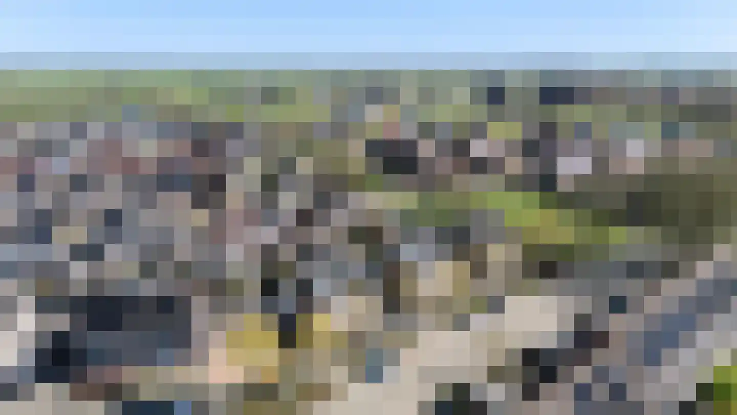 Rietsnit 10 Hasselt thumbnail 32