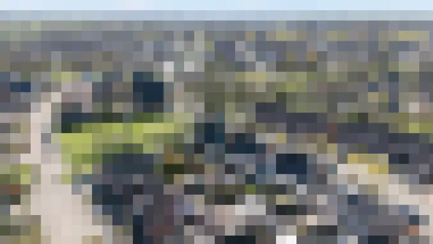 Rietsnit 10 Hasselt thumbnail 33