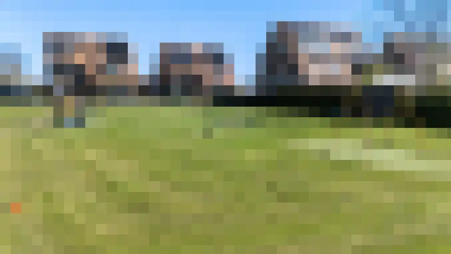 Rietsnit 10 Hasselt thumbnail 34