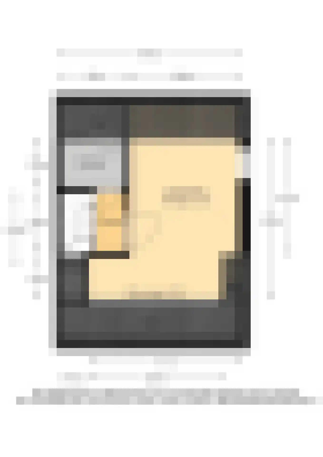 Rietsnit 10 Hasselt thumbnail 37