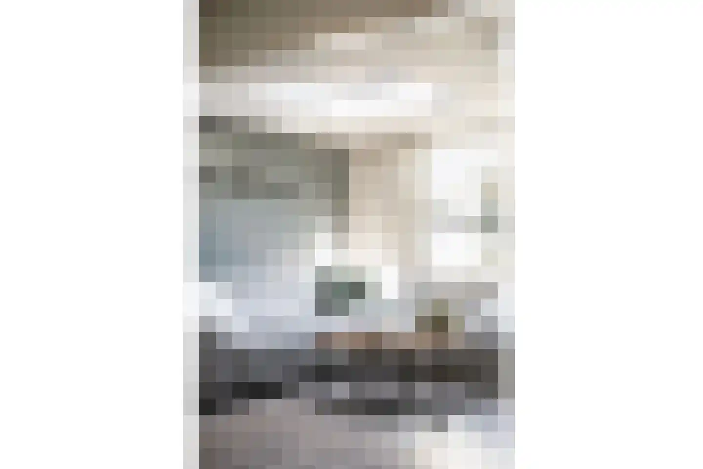 Rietsnit 10 Hasselt thumbnail 5