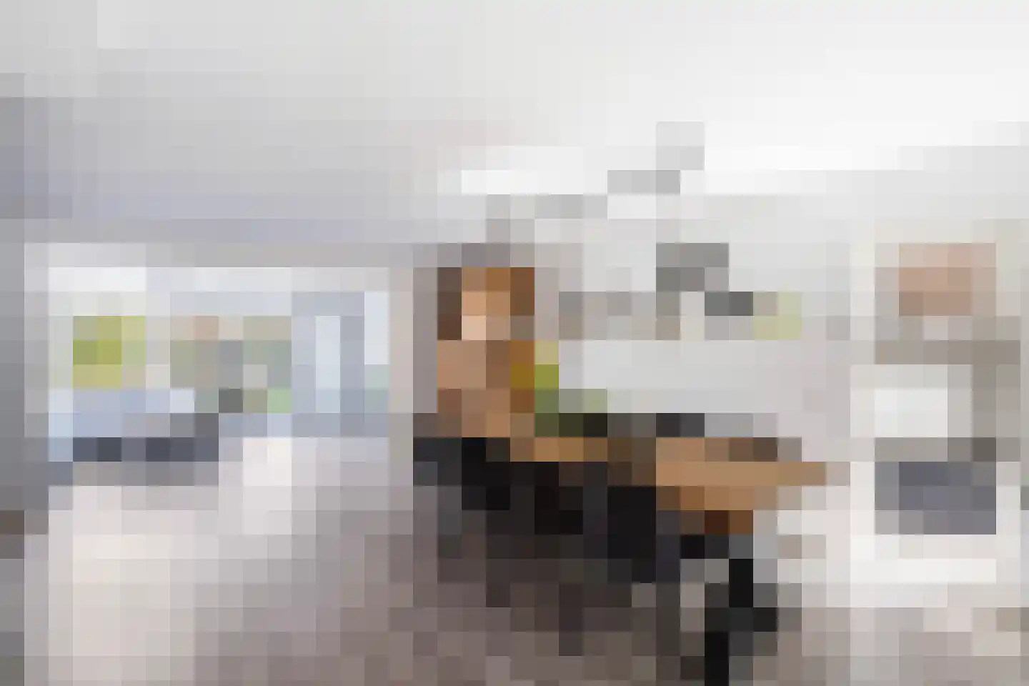 Rietsnit 10 Hasselt thumbnail 6