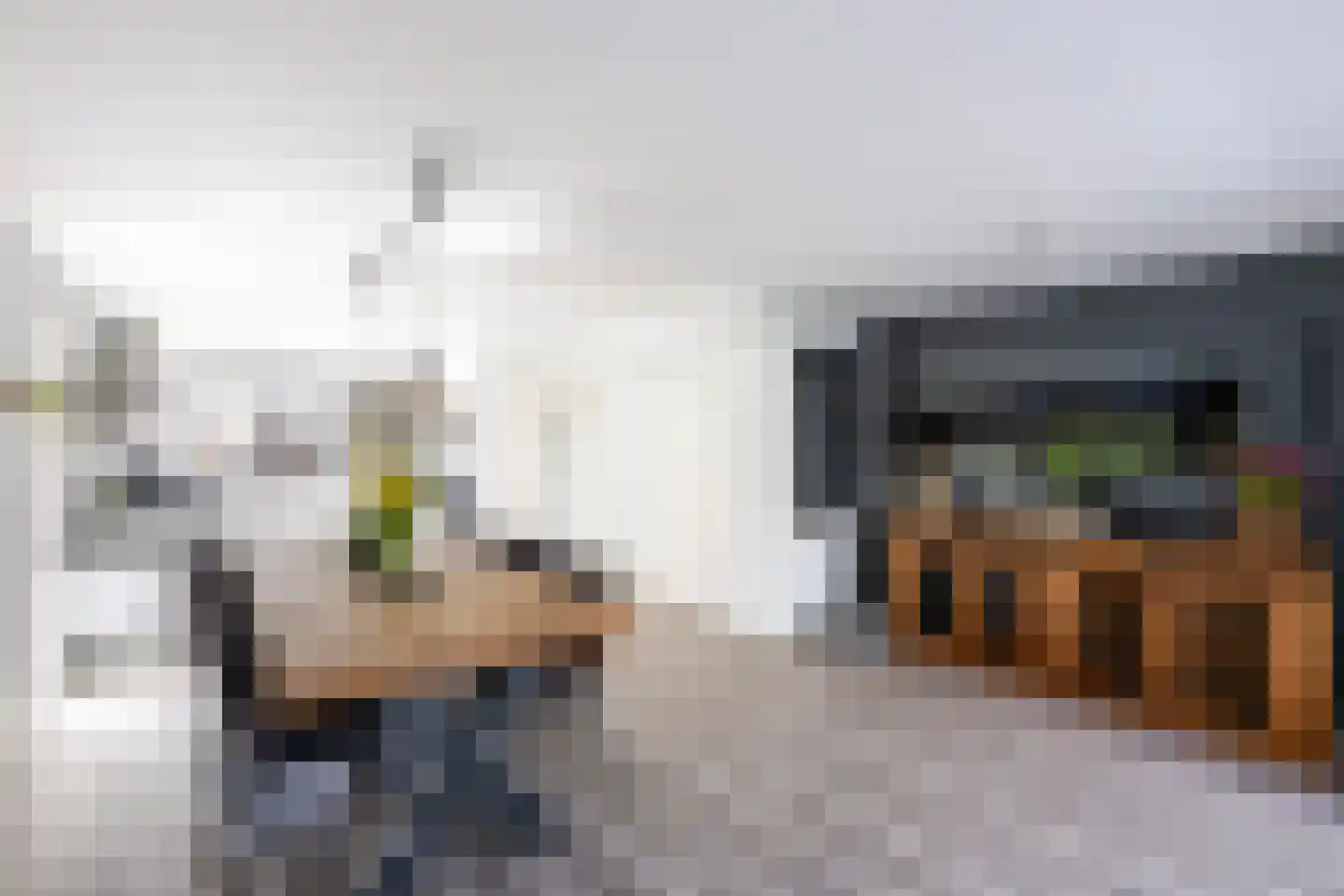 Rietsnit 10 Hasselt thumbnail 7