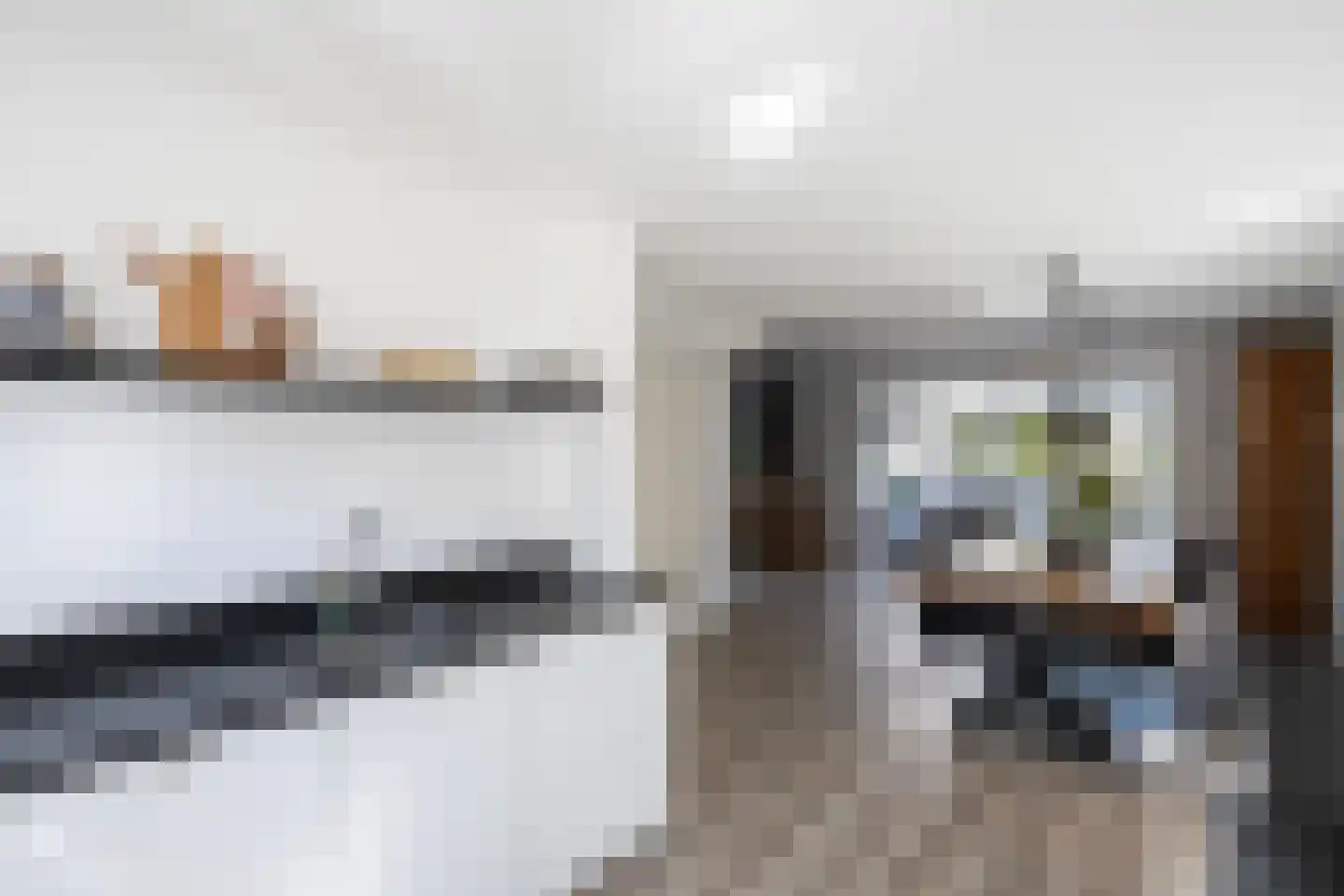 Rietsnit 10 Hasselt thumbnail 8