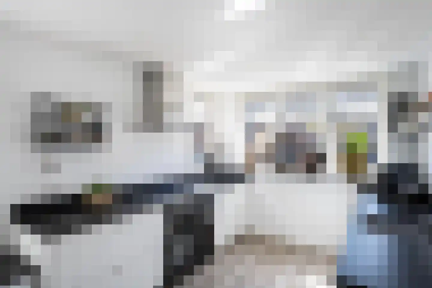 Rietsnit 10 Hasselt thumbnail 9