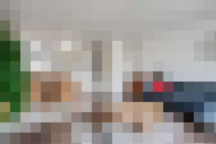Rietsnit 33 Hasselt thumbnail 13