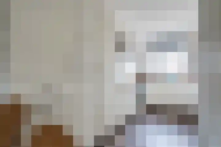 Rietsnit 33 Hasselt thumbnail 14