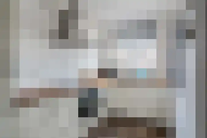 Rietsnit 33 Hasselt thumbnail 15