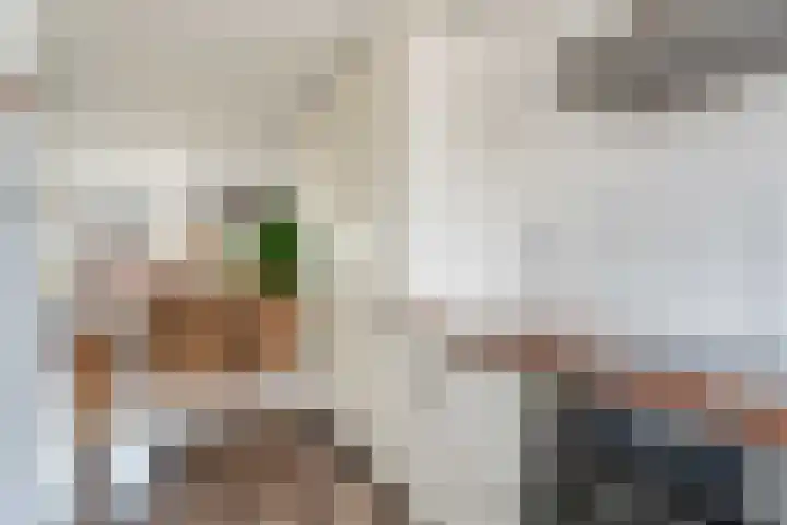 Rietsnit 33 Hasselt thumbnail 16