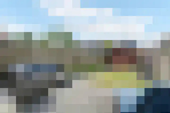 Rietsnit 33 Hasselt thumbnail 17