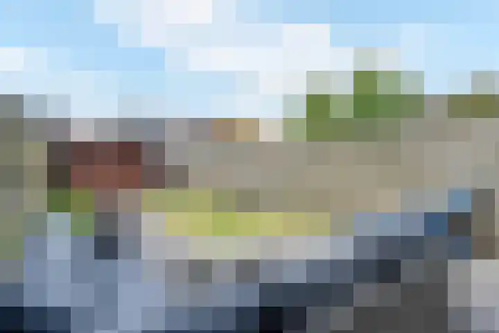 Rietsnit 33 Hasselt thumbnail 18