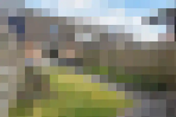 Rietsnit 33 Hasselt thumbnail 19