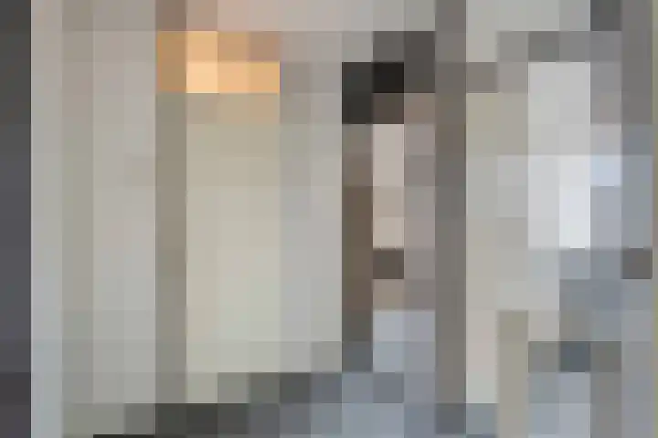 Rietsnit 33 Hasselt thumbnail 21