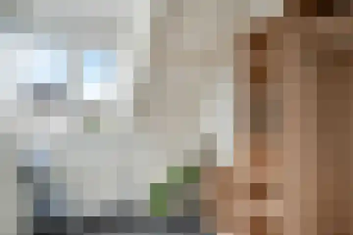 Rietsnit 33 Hasselt thumbnail 22