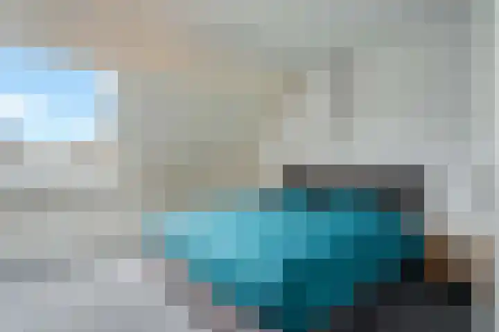 Rietsnit 33 Hasselt thumbnail 23