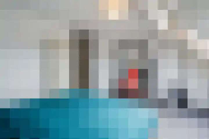 Rietsnit 33 Hasselt thumbnail 24
