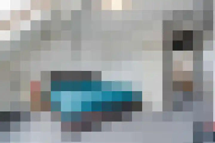 Rietsnit 33 Hasselt thumbnail 25