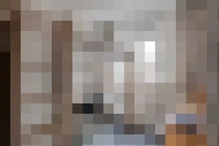 Rietsnit 33 Hasselt thumbnail 26