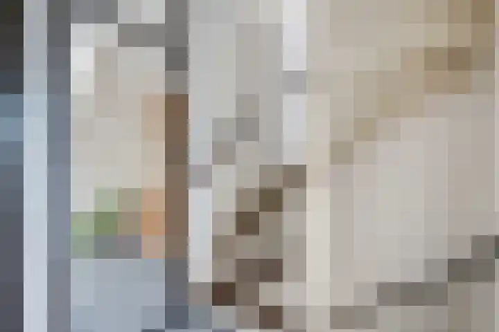 Rietsnit 33 Hasselt thumbnail 30