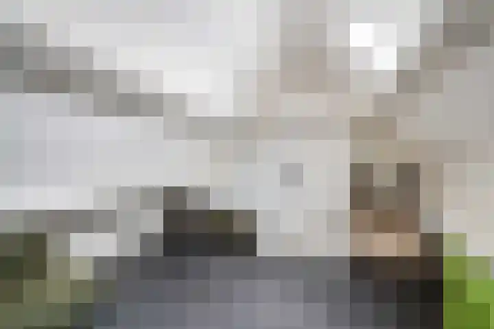 Rietsnit 33 Hasselt thumbnail 32