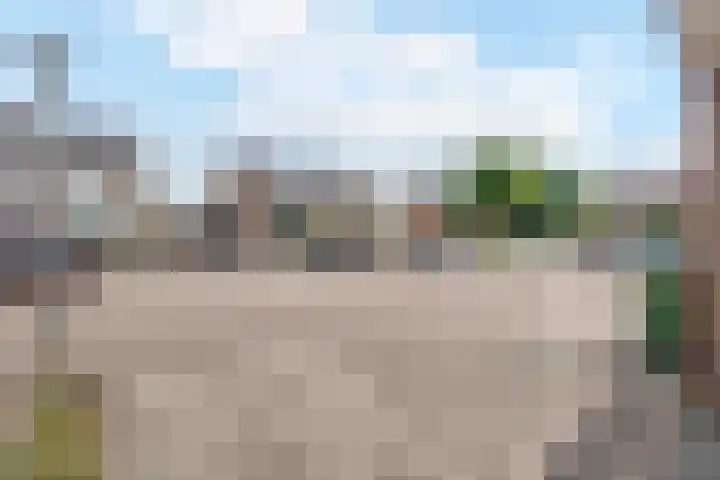 Rietsnit 33 Hasselt thumbnail 5
