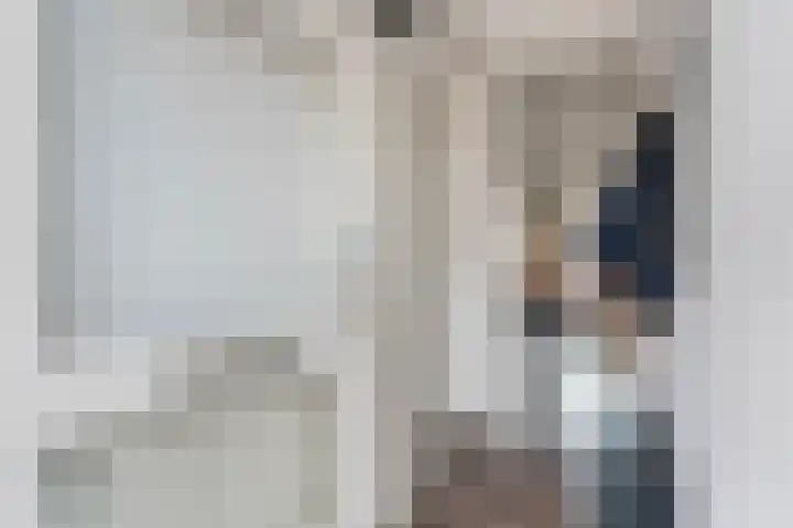 Rietsnit 33 Hasselt thumbnail 6