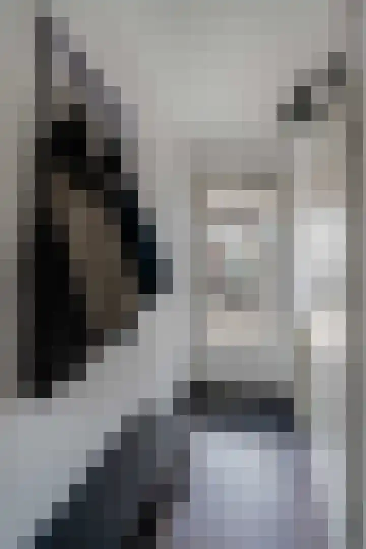 Rietsnit 33 Hasselt thumbnail 7
