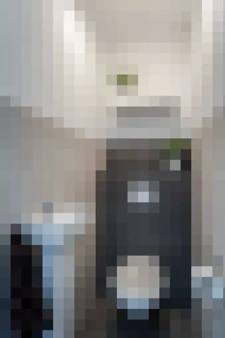 Rietsnit 33 Hasselt thumbnail 8