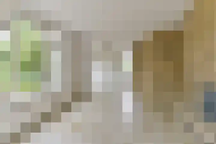 Rietspinner 6 Leusden thumbnail 11