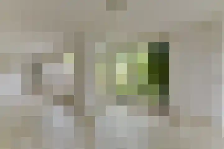 Rietspinner 6 Leusden thumbnail 13