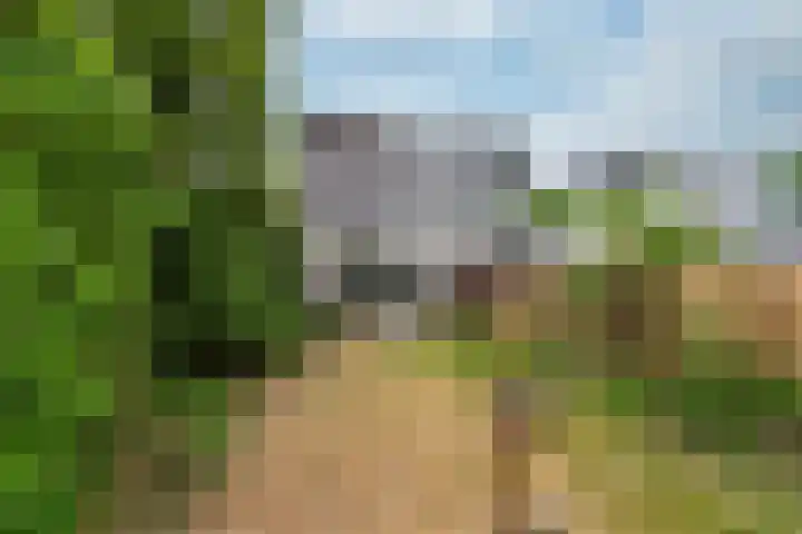 Rietspinner 6 Leusden thumbnail 15