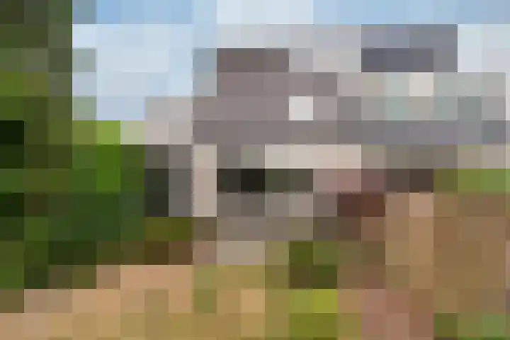 Rietspinner 6 Leusden thumbnail 17