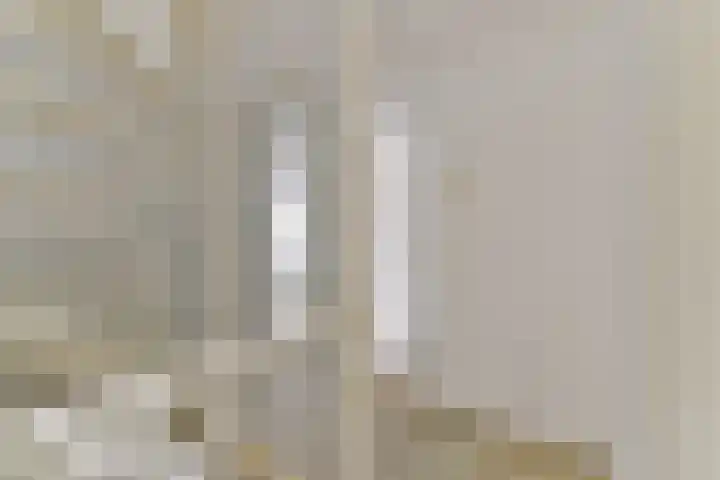 Rietspinner 6 Leusden thumbnail 18