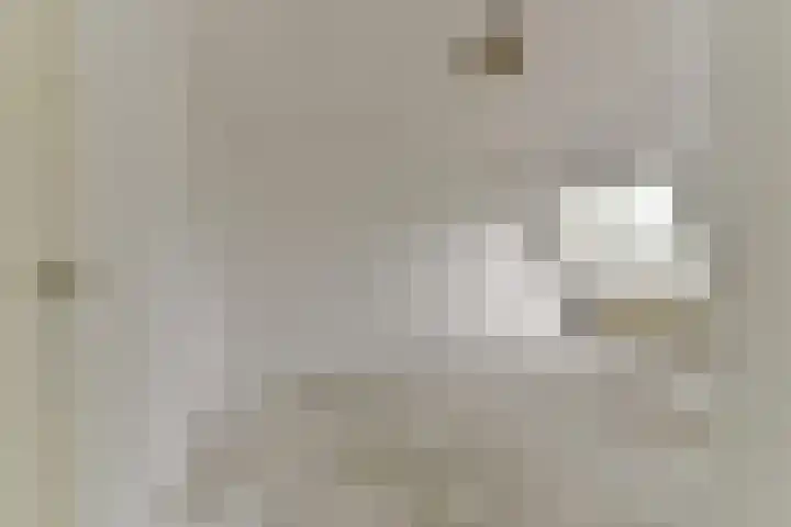 Rietspinner 6 Leusden thumbnail 19