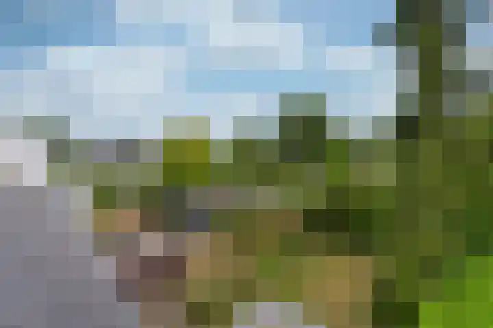 Rietspinner 6 Leusden thumbnail 26