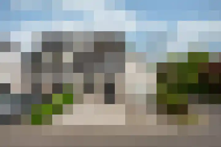 Rietspinner 6 Leusden thumbnail 32