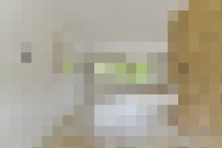 Rietspinner 6 Leusden thumbnail 4