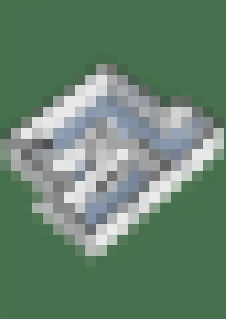 Rietspinner 6 Leusden thumbnail 43